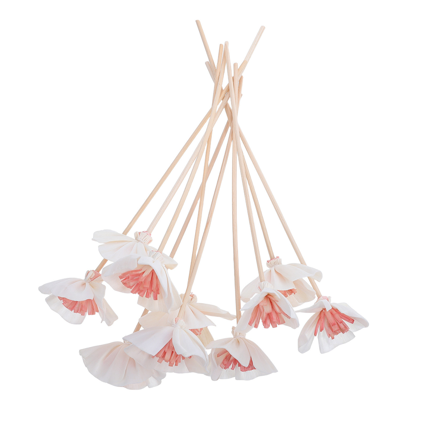 10Pcs Essential Oil Diffuser S - Home Fragrance Diffuser recension och pris