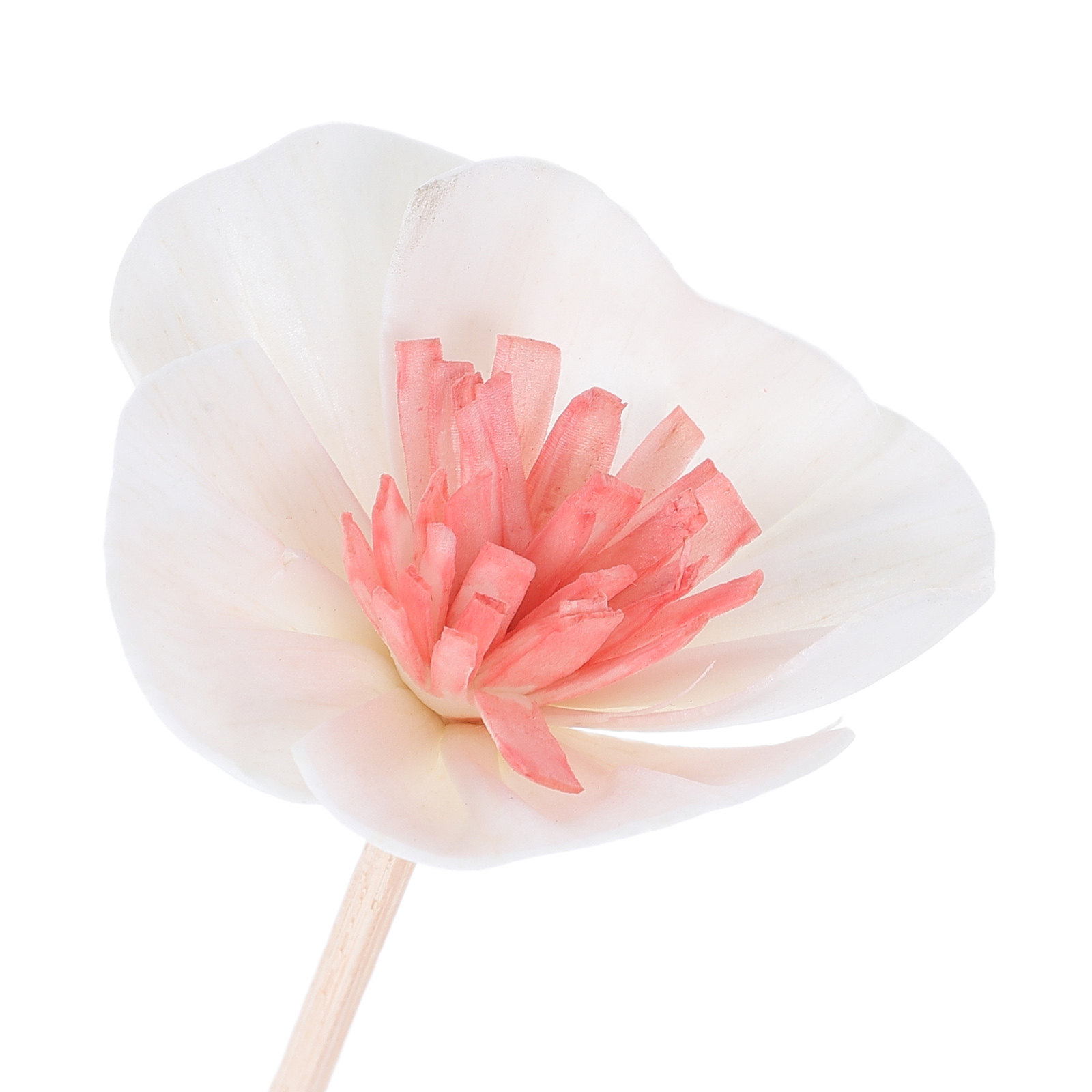 10Pcs Essential Oil Diffuser S - Home Fragrance Diffuser recension och pris