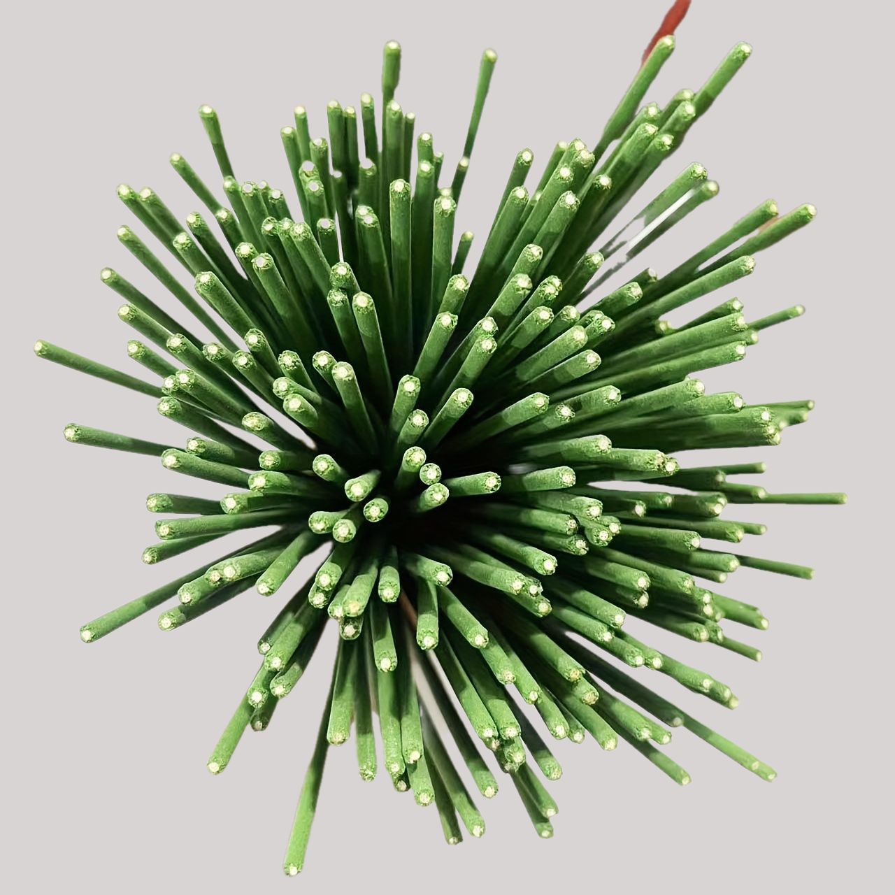 Reed Diffuser Sticks Lemongras - Home Fragrance Lemongrass recension och pris