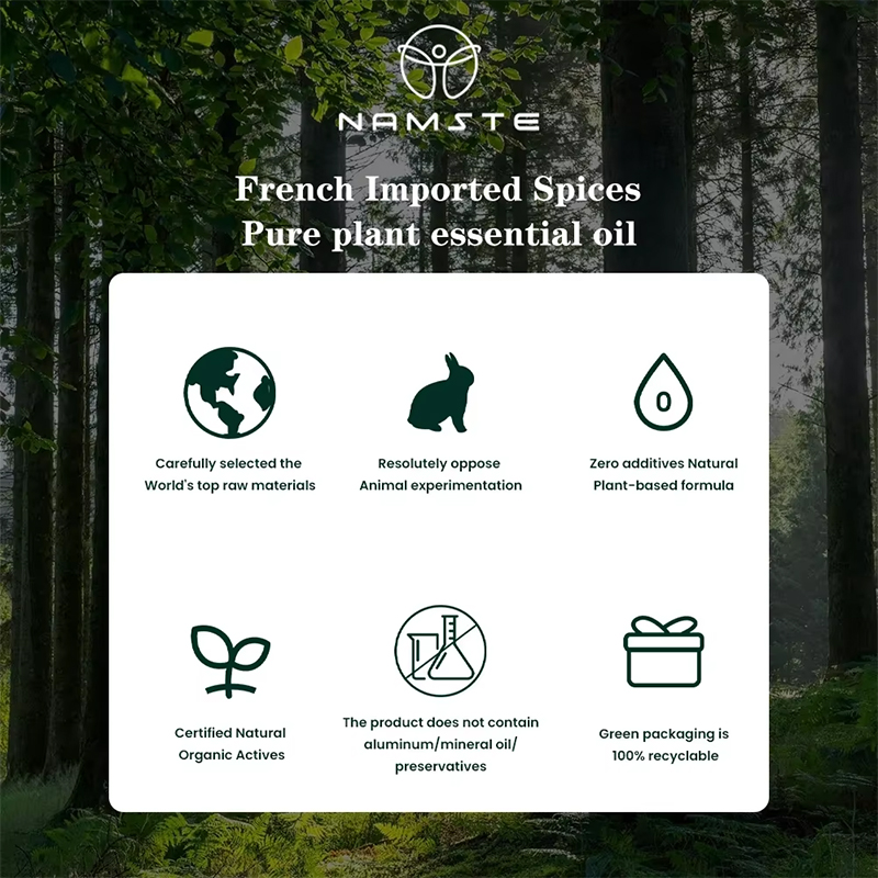 NAMSTE 100ML Oil Diffuser Esse - Home Fragrance M&S Disinfectant Hack recension och pris