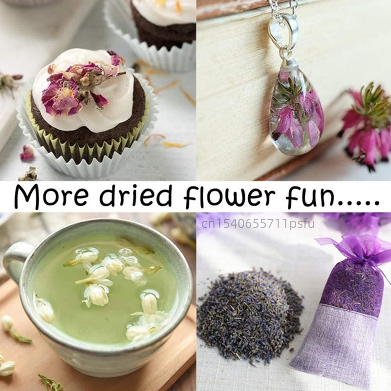 High-quality Natural Jasmine D - Potpourri Dried Flower recension och pris